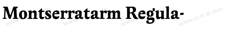 Montserratarm Regula字体转换